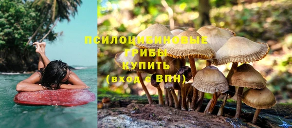 а пвп мука Белокуриха